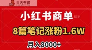 小红书商单最新玩法，8篇笔记涨粉1.6w，作品制作简单，月入8000+【揭秘】-暖阳网-优质付费教程和创业项目大全-天天有课网