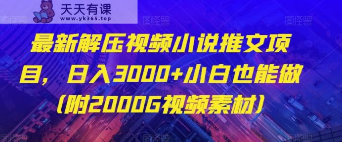 全新解压视频小说推文新项目，日入3000 新手也可以做【揭密】-暖阳网-优质付费教程和创业项目大全-天天有课网