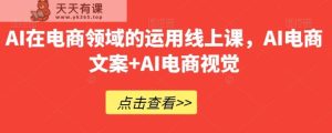 AI在电商领域的运用线上课，​AI电商文案+AI电商视觉-暖阳网-优质付费教程和创业项目大全-天天有课网