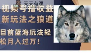 视频号撸收益新玩法之狼道,目前蓝海玩法,轻松月入过万【揭秘】-暖阳网-优质付费教程和创业项目大全-天天有课网