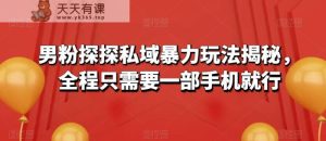 男粉探探私域暴力玩法揭秘，全程只需要一部手机就行-暖阳网-优质付费教程和创业项目大全-天天有课网