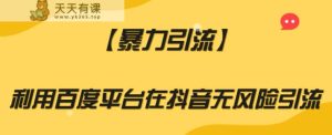 【暴力引流】利用百度平台在抖音无风险引流【揭秘】-暖阳网-优质付费教程和创业项目大全-天天有课网