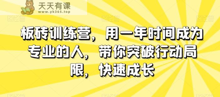 砖头夏令营，用一年时间变成专业人，陪你突破行动局限性，快速增长-暖阳网-优质付费教程和创业项目大全-天天有课网