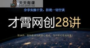 才霄网创28讲第19讲：搜狗搜索刷屏引流方法关键窍门，当日就可以看到实际效果！-暖阳网-优质付费教程和创业项目大全-天天有课网