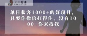 单日获客1000+的好项目，只要你微信扛得住，没有1000+你来找我【揭秘】-暖阳网-优质付费教程和创业项目大全-天天有课网
