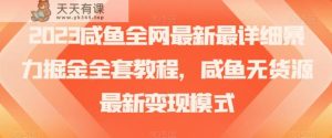2023咸鱼全网最新最详细暴力掘金全套教程,咸鱼无货源最新变现模式【揭秘】-暖阳网-优质付费教程和创业项目大全-天天有课网