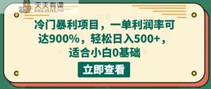 小众赚钱项目，一单毛利率可以达到900%，轻轻松松日入500 ，适合白0基本-暖阳网-优质付费教程和创业项目大全-天天有课网