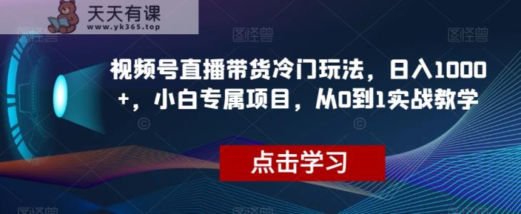 微信视频号直播卖货小众游戏玩法，日入1000 ，新手专享新项目，从0到1实战教学【揭密】-暖阳网-优质付费教程和创业项目大全-天天有课网