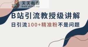 B站引流方法高级讲师解读，小细节满满的，日引流方法100 精准粉不是事【揭密】-暖阳网-优质付费教程和创业项目大全-天天有课网
