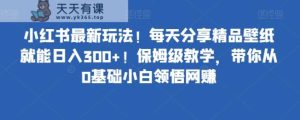 小红书的全新游戏玩法！每天分享精品壁纸就可日赚300 ！家庭保姆级课堂教学，陪你从0基本新手理解网络赚钱-天天有课网