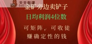 金矿石边上卖铲子，赚确定性钱，可引流矩阵，可招徒，日均盈利4个数【揭密】-天天有课网