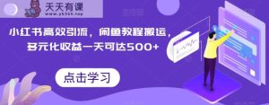 小红书的高效率引流方法，闲鱼平台实例教程运送，多样化盈利一天可以达到500-天天有课网