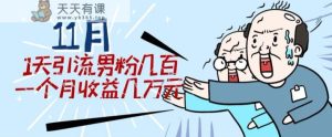 11月全新每日引流方法粉丝300 一个月盈利几万块-天天有课网