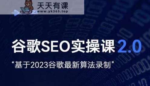 雷子·谷歌搜索SEO 2.0实战演练课，自建站外贸询盘随意必不可少，根据2023谷歌搜索全新优化算法拍摄-天天有课网