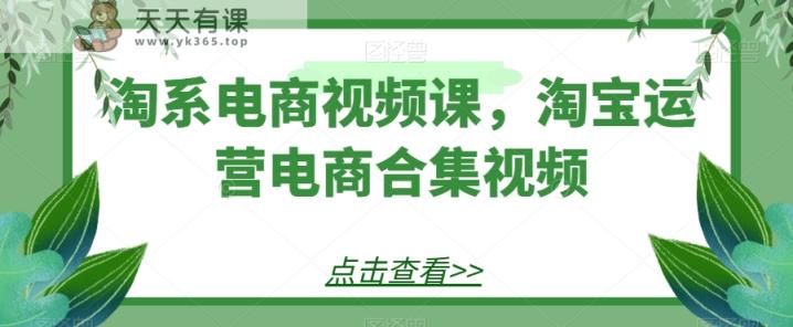 淘宝电商视频课，淘宝店铺运营电子商务合集视频-天天有课网