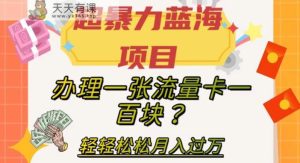 超暴力行为蓝海项目,办理一张上网卡一百块?轻松月入了万,家庭保姆级实例教程【揭密】-天天有课网