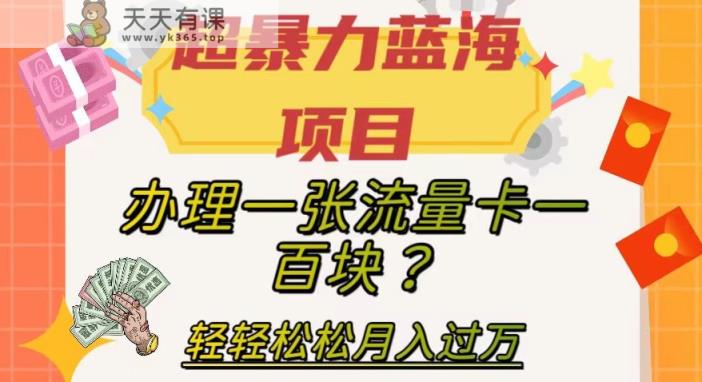 超暴力行为蓝海项目，办理一张上网卡一百块？轻松月入了万，家庭保姆级实例教程【揭密】-天天有课网