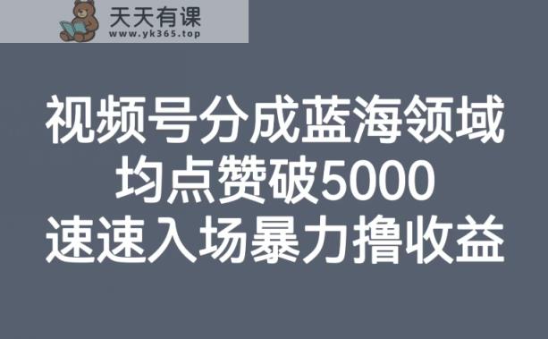 微信视频号分为蓝海领域，均关注点赞破5000，快速进场暴力行为撸盈利-天天有课网