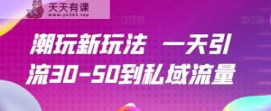 潮品新模式一天引流方法30-50到私域流量池-天天有课网