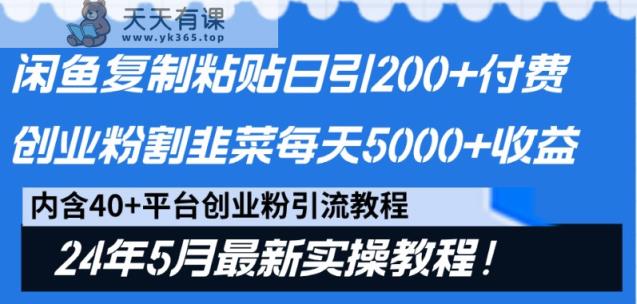 闲鱼平台拷贝日引200 付钱自主创业粉，24年5月全新方式！当韭菜割日平稳5000 盈利-天天有课网