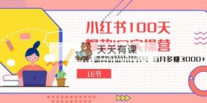 小红书的100天-爆品IP实际操作营，0到1拉高使用价值小红书的号 每月挣到3000-天天有课网