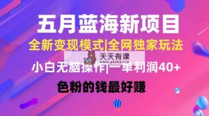 五月蓝海项目全新玩法，新手没脑子实际操作，一天数分钟，引流矩阵实际操作，月入4万-天天有课网