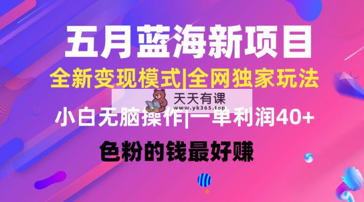 五月蓝海项目全新玩法，新手没脑子实际操作，一天数分钟，引流矩阵实际操作，月入4万-天天有课网