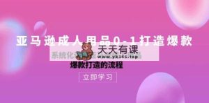 亚马逊平台两性用品0-1推出爆款：专业化解读亚马逊平台两性用品爆款打造的操作流程-天天有课网