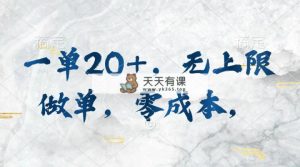 一单20 ，无限制刷单，零成本，实行就会有收益-天天有课网