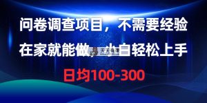问卷调研新项目，不用工作经验，在家也能做，新手快速上手，每日平均100-300-天天有课网