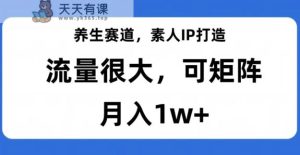 健康养生跑道，普通IP打造出，总流量非常大，可引流矩阵，月入1w 【揭密】-天天有课网