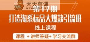 南店家-第17期打造出淘宝标准品大爆品，5无线天线授课-天天有课网
