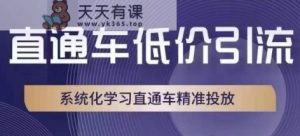 淘宝直通车低价引流课,系统性学习淘宝直通车精准推送-天天有课网