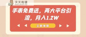 手表免费送，两大平台引流，月入1.2W【揭秘】-天天有课网