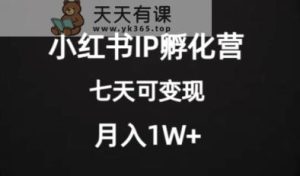 使用价值2000 的小红书IP卵化营新项目，超大瀚海，七天即可进行转现，平稳月入1W-天天有课网