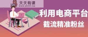 运用电子商务平台淘宝网多多的引流方法精准粉，优质高效，适宜各个行业-天天有课网