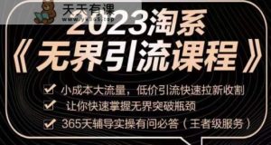 2023淘宝无边引流方法实操课程，低成本高流量，低价引流迅速引流收种，让你快速把握无边突破困境-天天有课网
