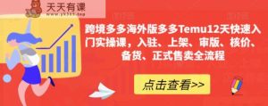 跨境电商多多的国际版多多的Temu12天快速上手实操课，进驻、发布、审版、核算成本、补货、宣布出售全过程-天天有课网
