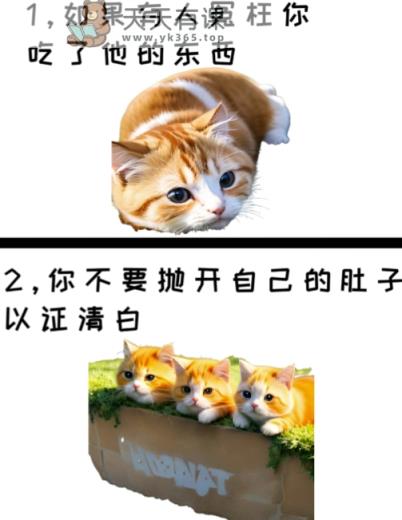 治愈系萌猫加 黑鸡汤文案，小红书商单玩法，3~10天涨到1000粉，一单200左右