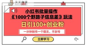 小红书的批量处理《1000个野路子信息差》游戏玩法,一分钟制作一个图文并茂,防封号,日引100 自主创业粉-天天有课网