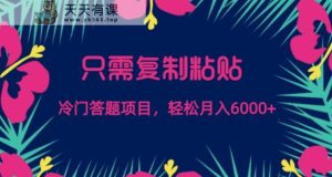 只需复制粘贴,冷门答题项目,轻松月入6000-天天有课网