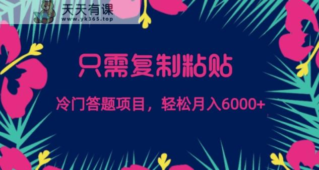 只需复制粘贴，冷门答题项目，轻松月入6000-天天有课网