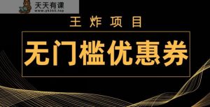 王炸项目!无门槛优惠券,单号日入300+,无需经验直接上手-天天有课网