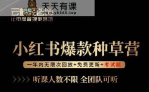 言既非-小红书爆款种树营，最有价值入局的站外流量方式！-天天有课网