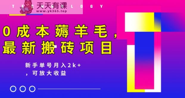 0成本费撸羊毛，全新搬砖项目，初学者运单号月入2k ，可变大实际操作-天天有课网