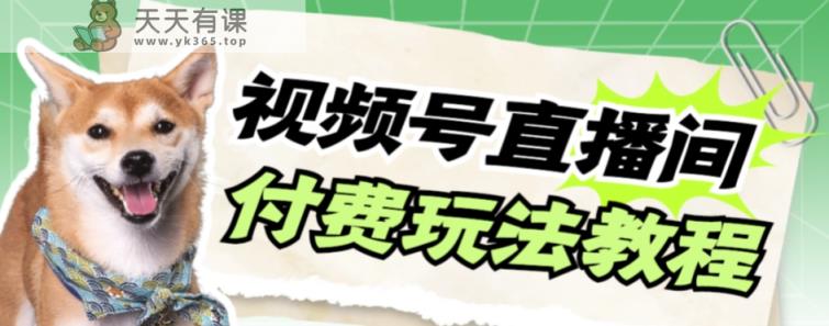 微信视频号漂亮美女付钱无人直播，轻轻松松日入500 【详尽游戏玩法实例教程】-天天有课网