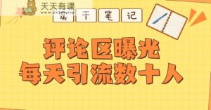 【全网首发】通过评论区曝光每天引流几十+粉丝-天天有课网