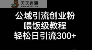 公域流量引流方法自主创业粉,喂食级实例教程,轻轻松松日引流方法300 【揭密】-天天有课网