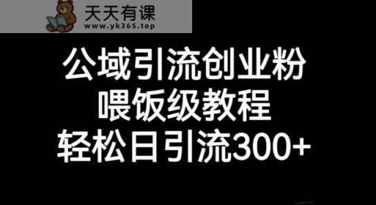 公域流量引流方法自主创业粉，喂食级实例教程，轻轻松松日引流方法300 【揭密】-天天有课网