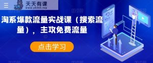 淘宝爆品总流量实战演练课，主要流量-天天有课网